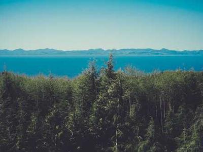 宿迁网站搭建流程全解析：从域名注册到网站上线的完整指南